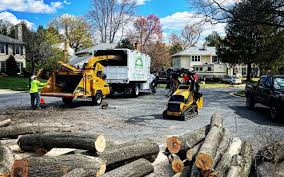 Best Commercial Tree Services  in Laurinburg, NC