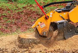 Best Tree and Shrub Care  in Laurinburg, NC