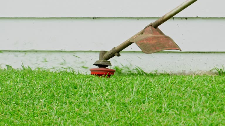 Best Lawn Maintenance Plans  in Laurinburg, NC